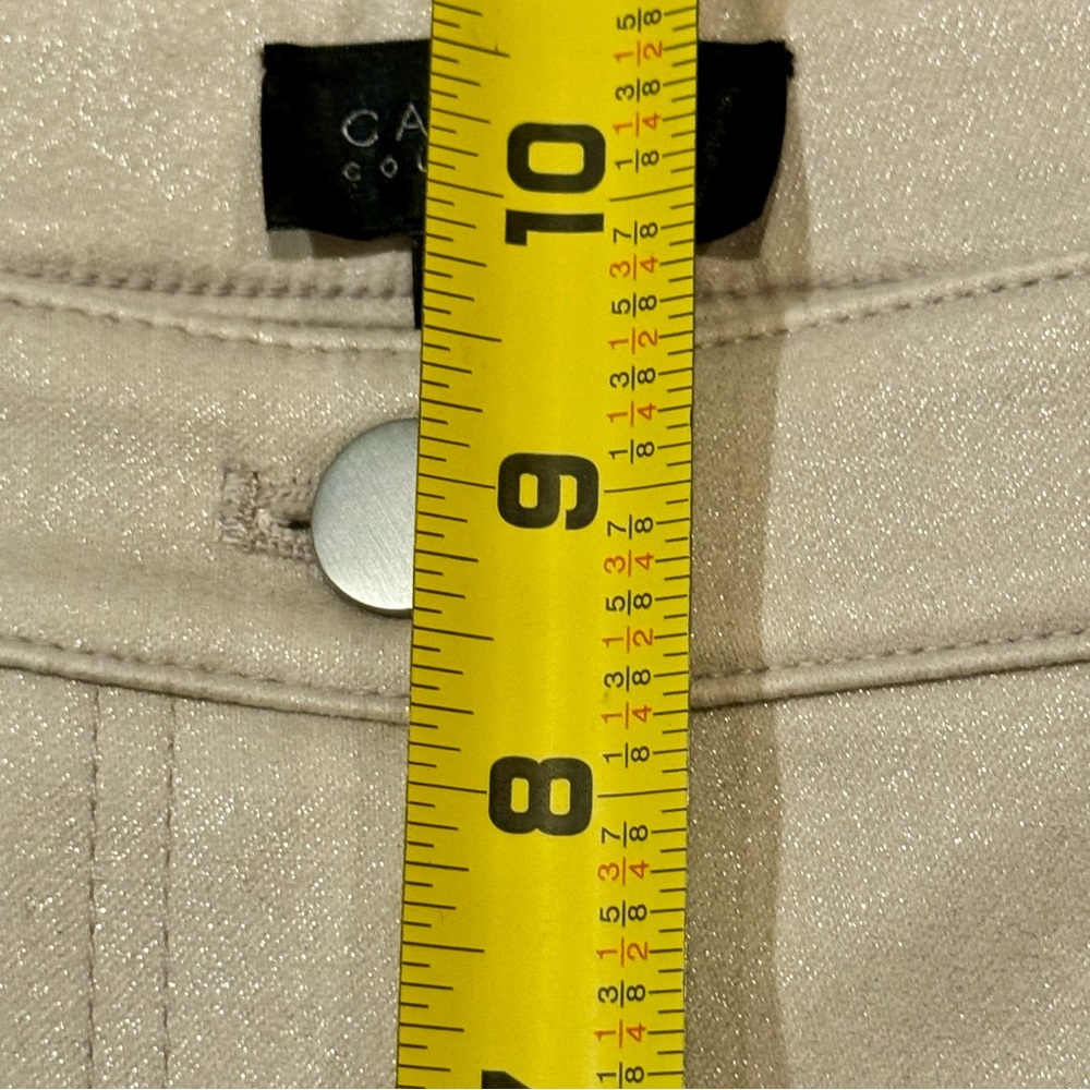 NWT Carlisle Lincoln Mid Rise Off White Silver Shimmer Pants Sz 10 - Picture 9 of 12